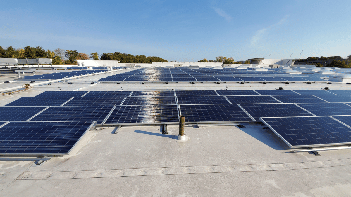 solar panels on flat roof